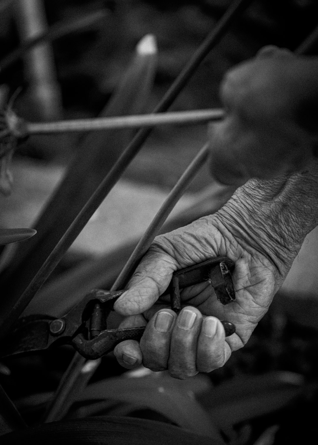 seniors gardening outdoors