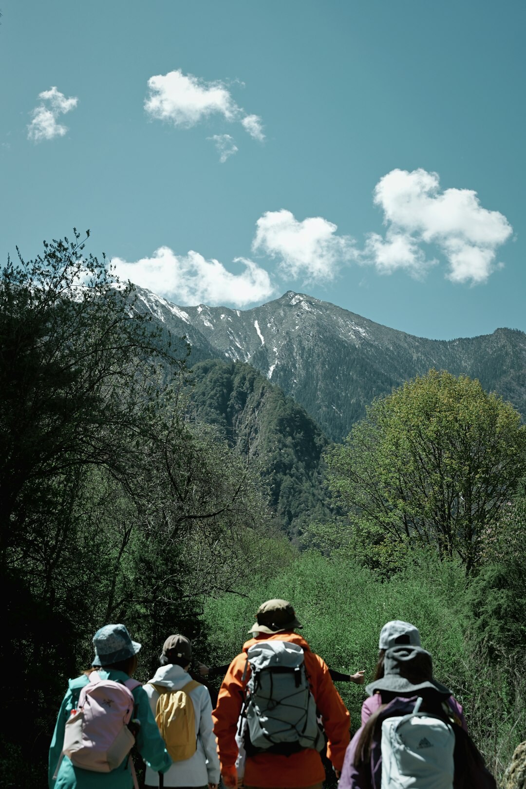 Group of seniors hiking together on a scenic mountain trail